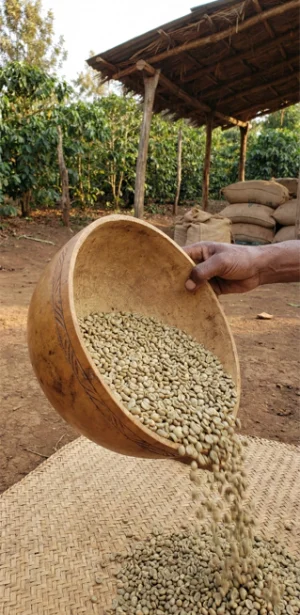 Arts de Saba - Carrousels Produits - Café